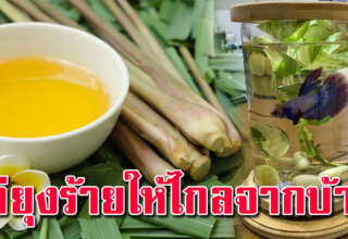 น้ำส้มสายชู กับเศษสบู่ในห้องน้ำ ช่วยได้เยอะ