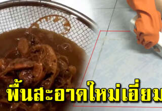 ลบคราบดำในร่องยาแนว ให้กลับมาขาววิ้ง ด้วยของใช้ในบ้านง่ายๆ