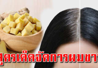 ผมหงอกผมร่วง ผมบาง บอกลาง่ายๆด้วยของในครัว ช่วยให้ผมหนาขึ้นดำเงา