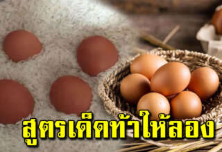 เอาไข่ไก่ใส่ในถังข้าวสาร ดีงามขนาดนี้ แม่บ้านควรรู้ไว้