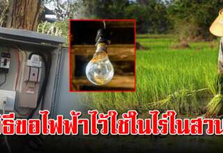 ขั้นตอนการขอไฟฟ้าลงพื้นที่ เพื่อใช้ในการเกษตร ขอได้ง่ายขึ้น