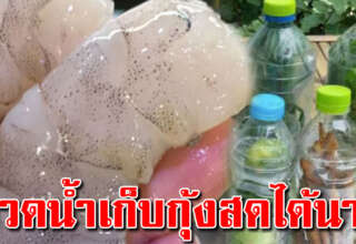 ขวดพลาสติกใช้แล้ว นำกลับมาใช้ให้อาหารสดได้นานเป็นเดือน