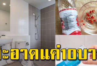 เปลี่ยนกระเบื้องเก่า เป็นสะอาดใหม่ด้วยงบไม่ถึง 10 บาท ทำเองง่ายมาก