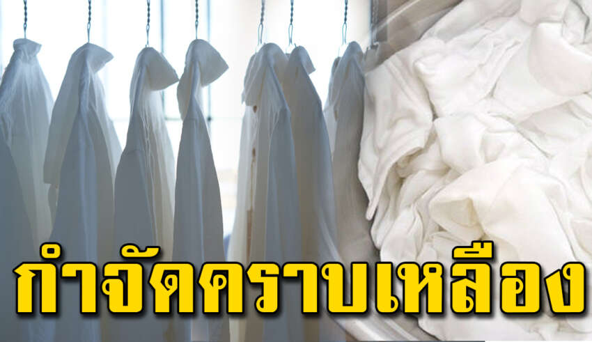 ร้านซักไม่เคยบอก เสื้อผ้าคราบหนา รอยเหลือง วิธีซักให้ขาวง่ายมาก