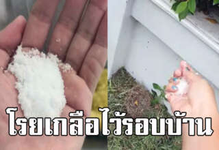 โรยเกลือรอบบ้าน ได้ 10 ประโยชน์ รู้เอาไว้เลย